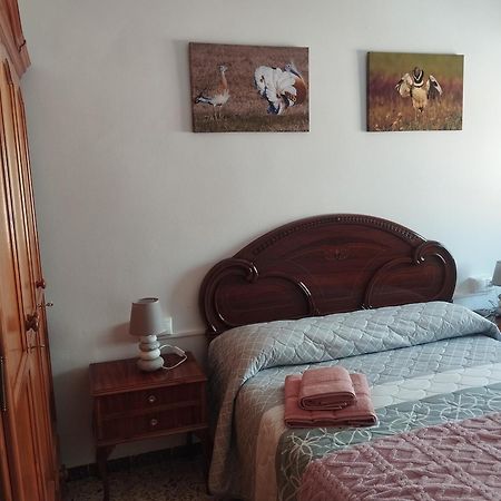Apartamento Las Fuentes Sierra de Fuentes Extérieur photo